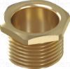 Male Brass Bushes